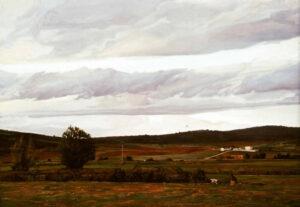 Campos Zamoranos